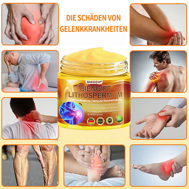LETZTER TAG 80 % RABATT✨Raindew® BIENGIFT LITHOSPERMUM Schmezindeme Creme zurKnochenhelung